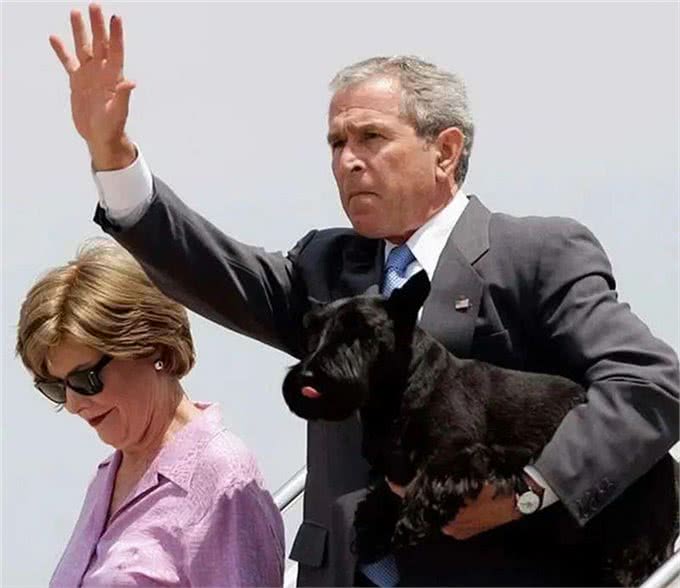 宠猫宠狗的最高境界,送它们去从政