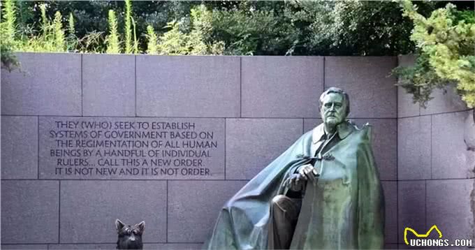 宠猫宠狗的最高境界,送它们去从政