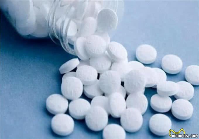 养狗心得:狗体内有虫有什么症状?处理寄生虫怎么办比较快?