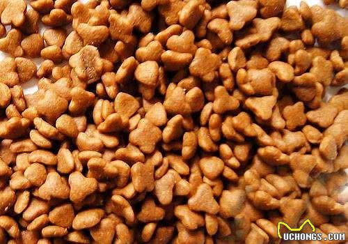 新手狗爸狗妈看过来,幼犬粮咋挑?怎么给狗子选择狗粮