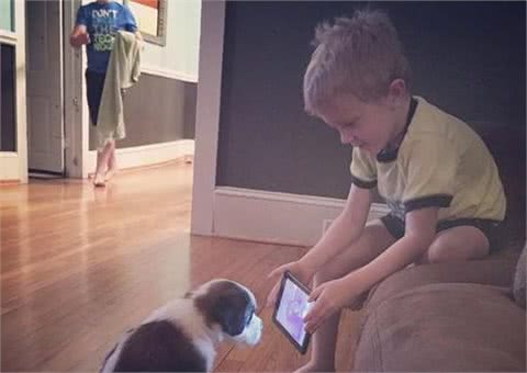 小主人拿平板给狗狗看,他们温馨的互动让人觉得狗狗的生活真美妙
