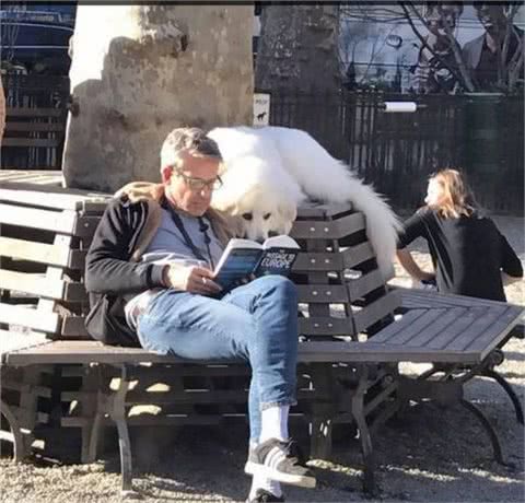 小主人拿平板给狗狗看,他们温馨的互动让人觉得狗狗的生活真美妙