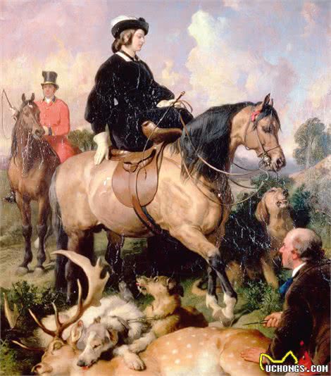 英国皇室为什么有爱狗的传统?曾有一只狗感动了全世界