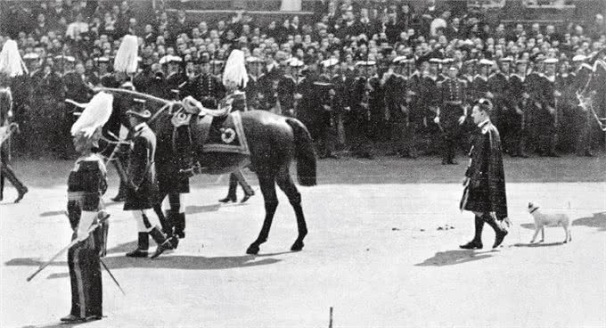 英国皇室为什么有爱狗的传统?曾有一只狗感动了全世界