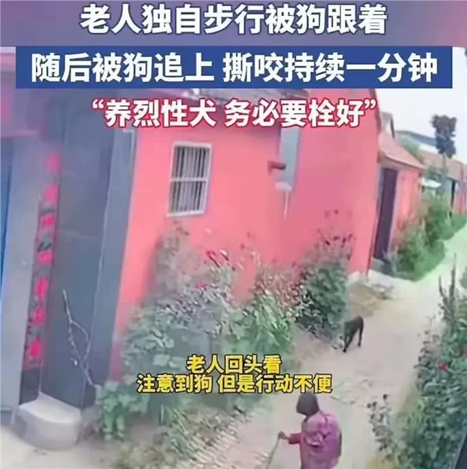 强烈建议立法:对宠物狗出门不拴绳的,依法捕杀,并对狗主人严惩